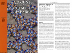 Rich Structure Chemistry in the Aluminophosphate Family