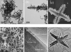 Hydrothermal Synthesis of a CaNb2O6 Hierarchical Micro/Nanostructure and Its Enhanced Photocatalytic Activity