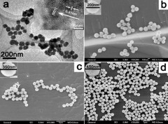 Phase Evolution and Morphology Control of ZnS in a Solvothermal System with a Single Precursor