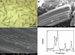 Fabrication of Two-Dimensional ZnO Nanostructures from Nanoparticles