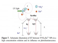 Influence of Concentration Effect and Au Coating on Photoluminescence Properties of YVO4:Eu3+ Nanoparticle Colloids