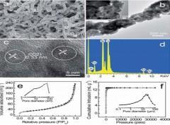 ZnxCd1-xS/Bacterial cellulose bionanocomposite foams with hierarchical architecture and enhanced visible-light photocatalytic hydrogen evolution activity