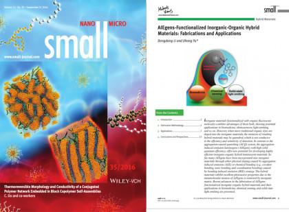 Small, 2016, DOI: 10.1002/smll.201601484.Li, D. D.; Yu, J. H.*