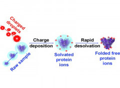 Sensitive detection of native proteins using extractive electrospray ionization mass spectrometry