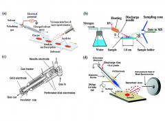 Ambient mass spectrometry for food science and industry