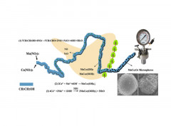 One-Step Calcination-Free Synthesis of Multicomponent Spinel Assembled Microspheres for High-Performance Anodes of Li-Ion Batteries: A Case Study of MnCo2O4