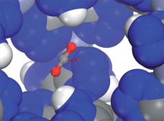 N-rich zeolite-like metal–organic framework with sodalite topology: high CO2 uptake, selective gas adsorption and efficient drug delivery