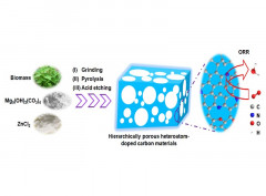 A General Dual-Templating Approach to Biomass-Derived Hierarchically Porous Heteroatom-Doped Carbon Materials for Enhanced Electrocatalytic Oxygen Reduction