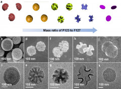 Realization of Walnut-Shaped Particles with Macro-/Mesoporous Open Channels through Pore Architecture Manipulation and Their Use in Electrocatalytic Oxygen Reduction