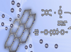 Benzodiimidazole-based Covalent Triazine Frameworks for Highly Selective CO2 Capture