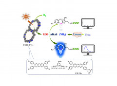 Photo-responsive oxidase mimic of conjugated microporous polymer for constructing a pH-sensitive fluorescent biosensor