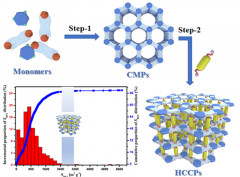 Molecular expansion in porous organic networks for constructing ultrahigh surface areas and well-developed nanopores