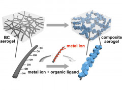 Multifunctional flexible composite aerogels constructed through in-situ growth of metal-organic framework nanoparticles on bacterial cellulose