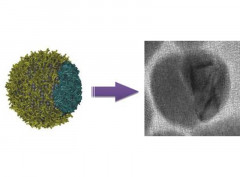 From Molecular-Level Organization to Nanoscale Positioning: Synergetic Ligand Effect on the Synthesis of Hybrid Nanostructures