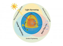 Steering Hollow Multishelled Structures in Photocatalysis: Optimizing Surface and Mass Transport