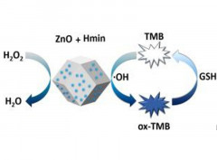 Facile synthesis of CDs@ZIF-8 nanocomposites as excellent peroxidase mimics for colorimetric detection of H2O2 and glutathione