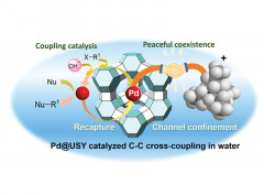 Zeolite-Enhanced Sustainable Pd-Catalyzed C−C Cross-Coupling Reaction: Controlled Release and Capture of Palladium