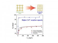 Stellerite-seeded facile synthesis of zeolite heulandite with exceptional aqueous Cd2+ capture performance