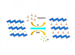 A Layered Cationic Aluminum Oxyhydroxide as a Highly Efficient and Selective Trap for Heavy Metal Oxyanions