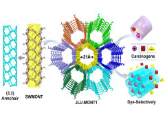 An anionic single-walled metal-organic nanotube with an armchair (3,3) topology as an extremely smart adsorbent for the effective and selective adsorption of cationic carcino [...]