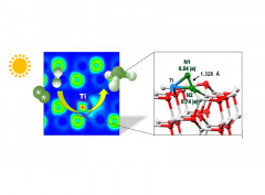 Electronic and Interface Regulation of Wurtzite Surfaces Promotes Photocatalytic Ammonia Synthesis under Visible Light Irradiation