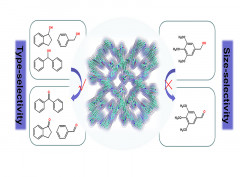 Three-Dimensional Radical Covalent Organic Frameworks as Highly Efficient and Stable Catalysts for Selective Oxidation of Alcohols