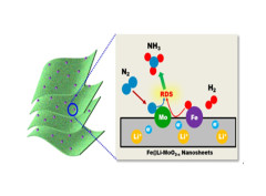 Boosting ammonia synthesis over MoO2 by Li intercalation