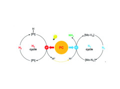 Refining active sites and hydrogen spillover for boosting visible-light-driven ammonia synthesis at room temperature