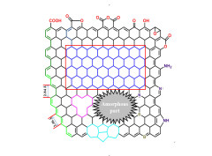 Carbon surface chemistry: new insight into the old story