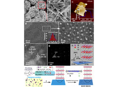 Chelated Ion-exchange Strategy towards BiOCl Mesoporous Single-crystalline Nanosheets for Boosting Photocatalytic Selective Aromatic Alcohols Oxidation