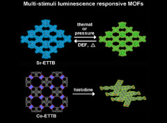 Stimuli-Responsive Luminescent Properties of Tetraphenylethene-Based Strontium and Cobalt Metal-Organic Frameworks