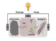 Poly(Anthraquinonyl Sulfide)/CNT Composites as High-Rate-Performance Cathodes for Nonaqueous Rechargeable Calcium-Ion Batteries