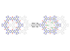 Covalent Organic Framework with Multiple Redox Active Sites for High-Performance Aqueous Calcium-ion Batteries.