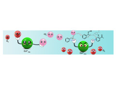 Efficient Selective Oxidation of Aromatic Alkanes by Double Cobalt Active Sites over Oxygen Vacancy-rich Mesoporous Co3O4