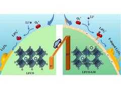 Fluorine induced surface reconstruction of perovskite ferrite oxide as cathode catalyst for prolong-life Li-O2 battery