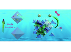 An exsolution constructed FeNi/NiFe2O4 composite: preferential breaking of octahedral metal–oxygen bonds in a spinel oxide