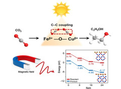 Magnetic-field-dominated spin-driven lattice deformation of 2D FeO/Cu2O composites for CO2 photocatalytic C–C coupling