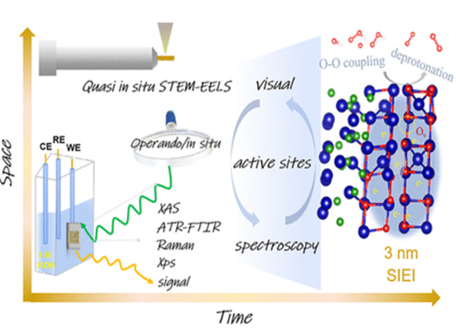 Spatially and Temporally Resolved Dynamic Response of Co-Based Composite Interface during the Oxygen Evolution Reaction