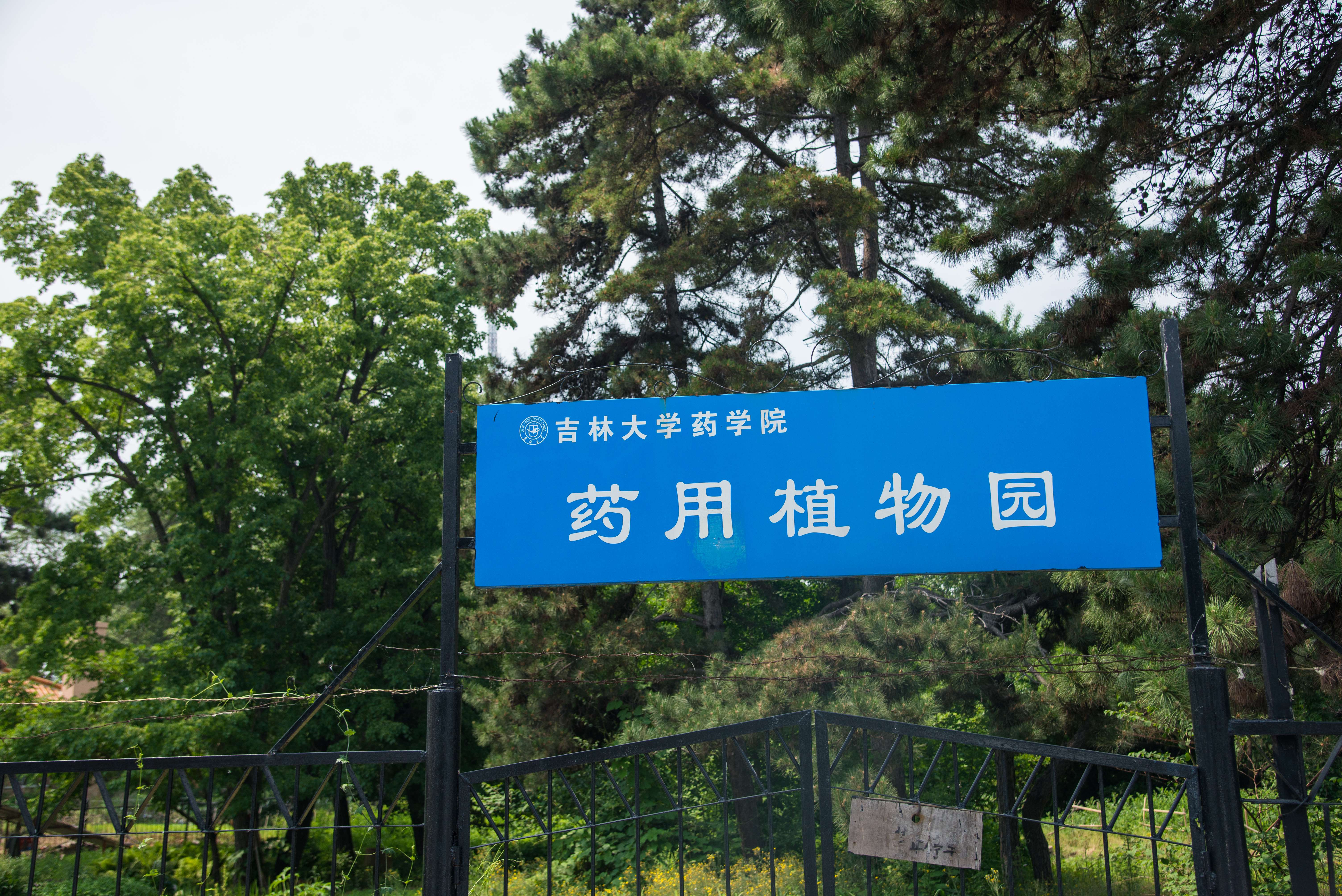 吉大药学院-药用植物园