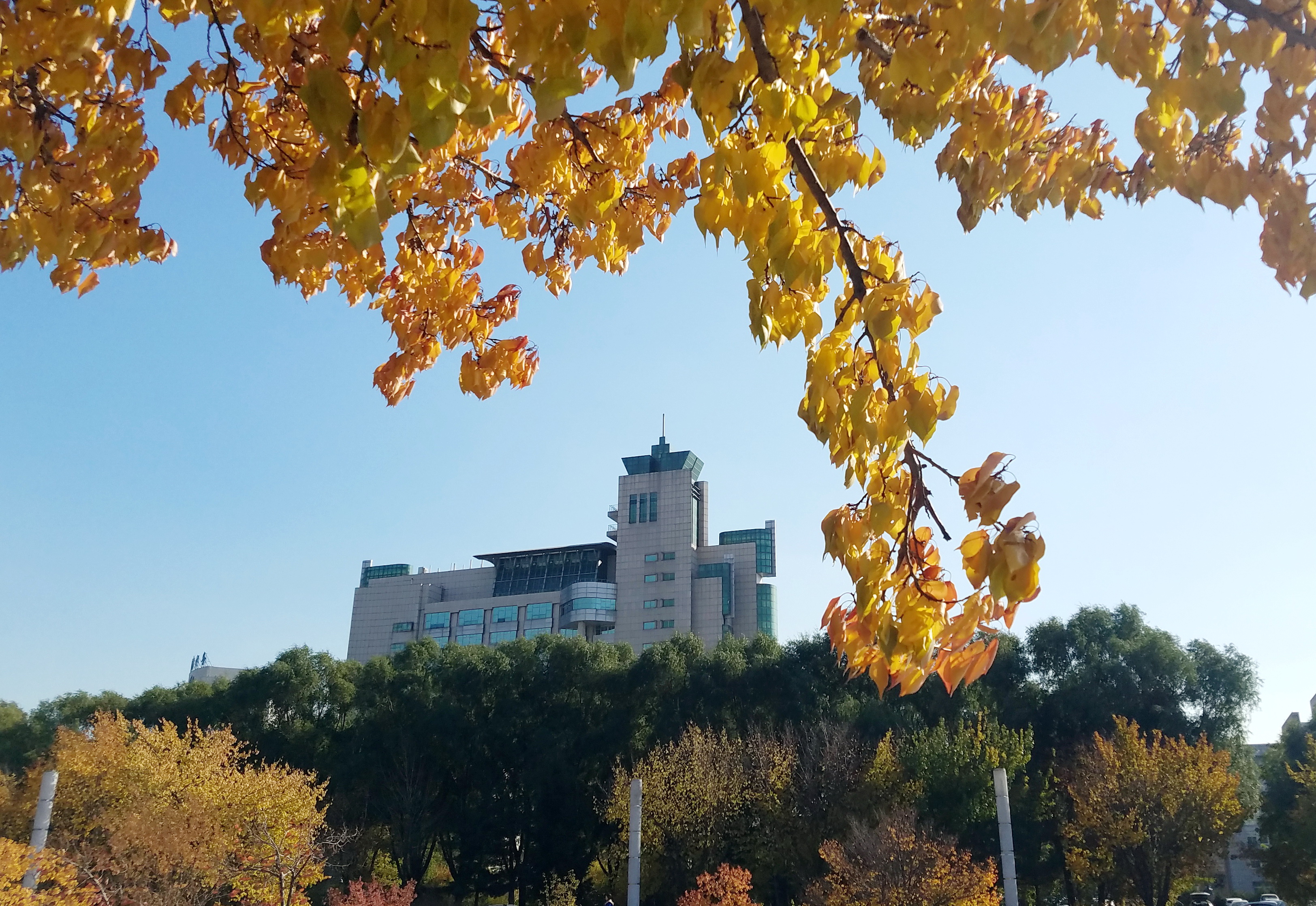 东荣大厦（中心校区）