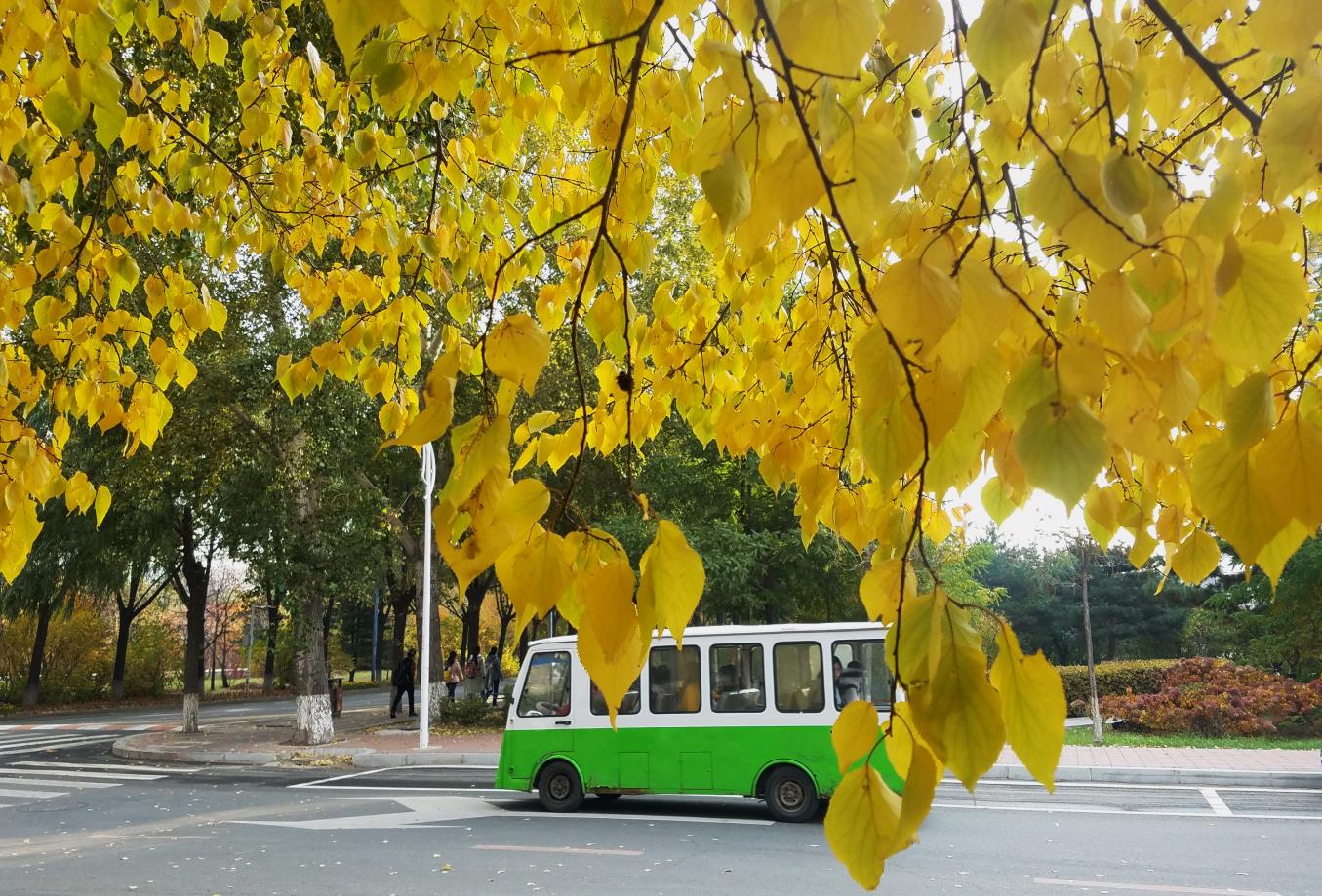 校车（中心校区）（2）